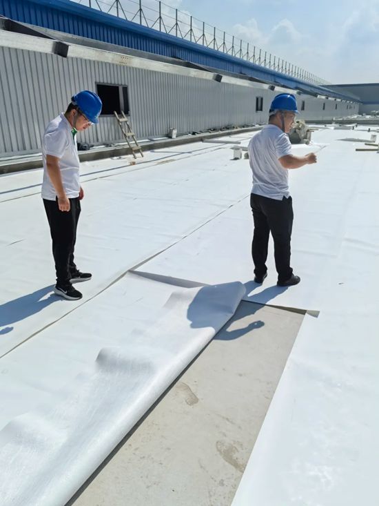 三棵樹TPO防水卷材為中天鋼鐵集團工廠建設注入可靠保障